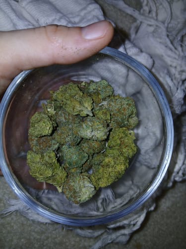 Customer photo review of Purple Punch