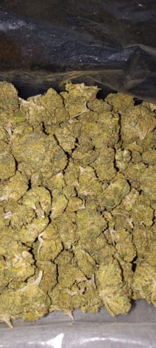 Customer photo review of Bulk THCA Flower Pounds