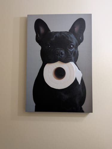 Customer photo review of French Bulldog Toilet Paper
