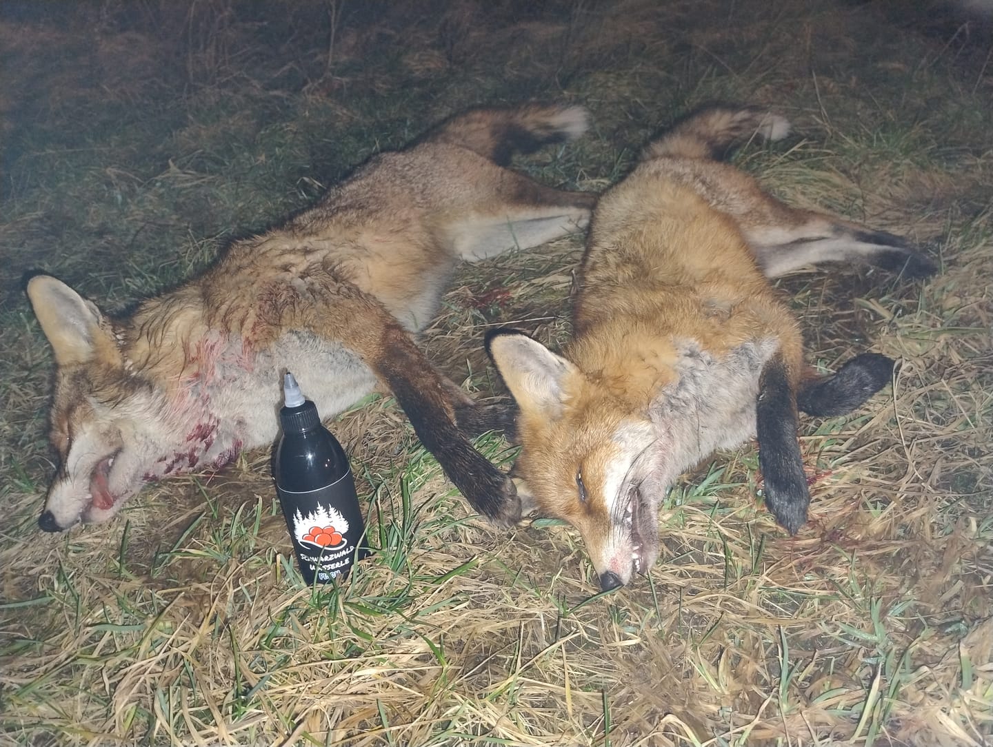 Customer photo review of Fisch Lockmittel - Schwarzwild und Raubwild