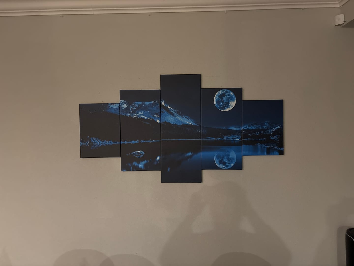 Customer photo review of Midnight Moon