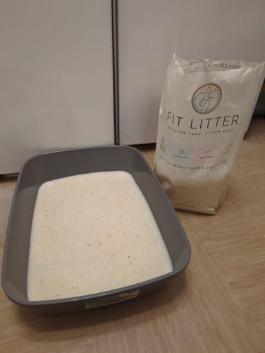 Customer photo review of 3 Month Supply - 1 Cat