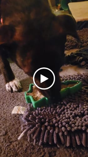 Customer video review of Freezmas Bundle