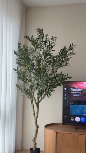 Customer photo review of Kunst Olijfboom 210cm