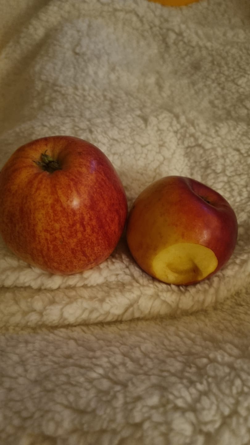 Customer photo review of Apfel Mix Bio regional Bioland