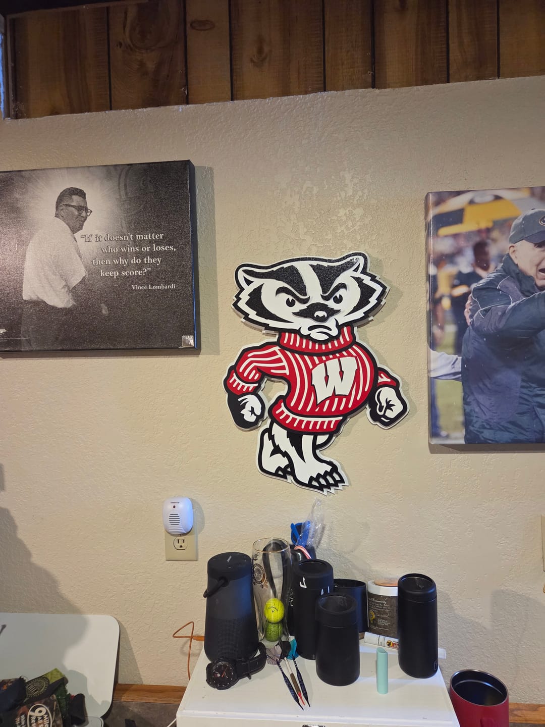 Customer photo review of Wisconsin "BADGER"  3D Vintage Metal Wall Art