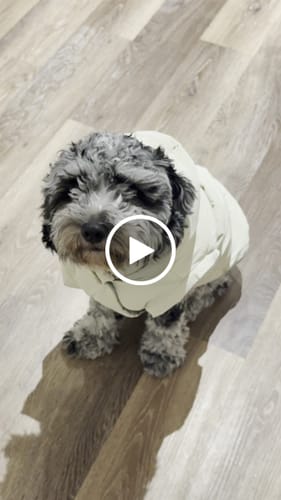 Customer video review of Marshmallow | The Modular Puffer