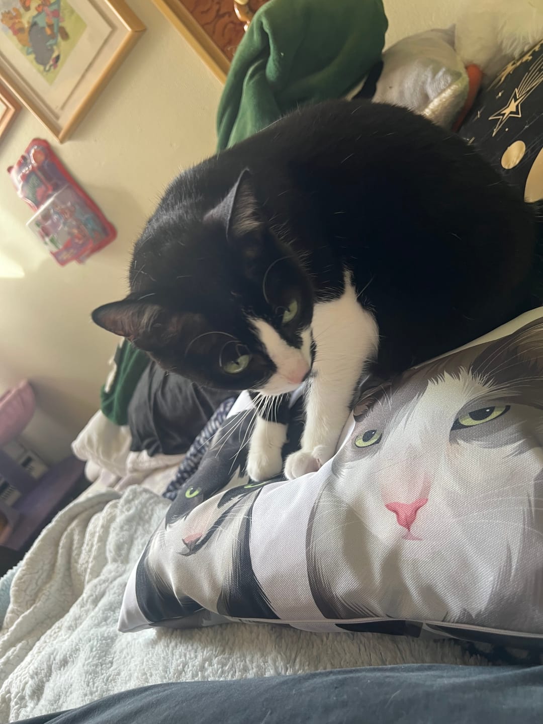 Customer photo review of Checkout+