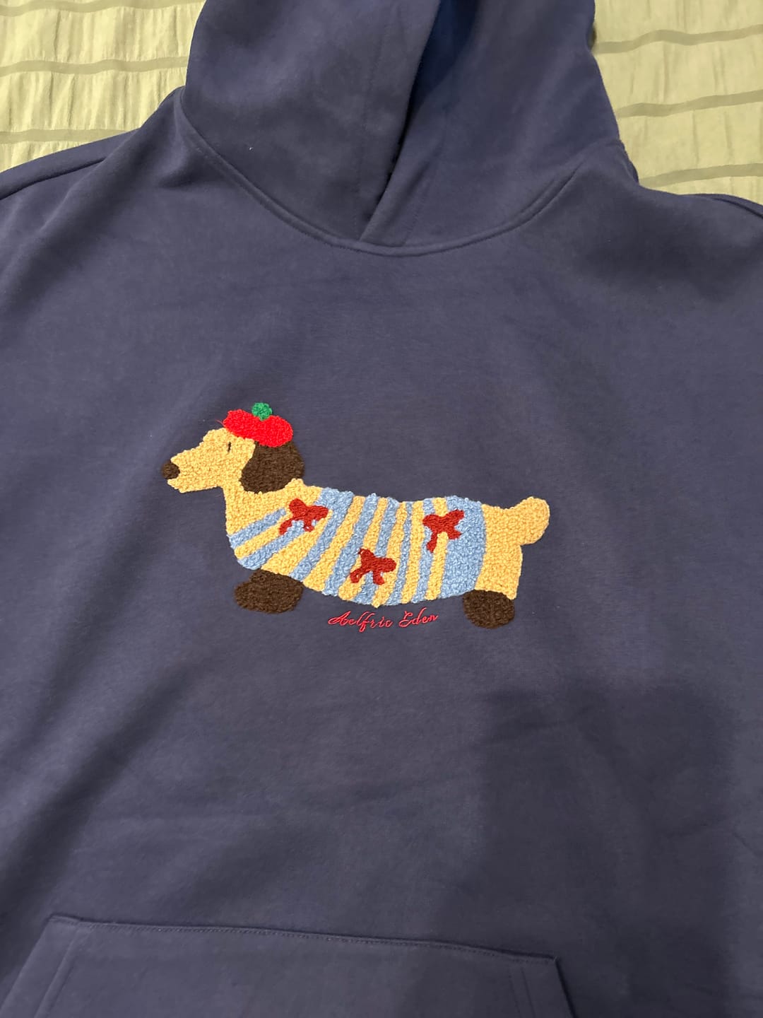 Customer photo review of Aelfric Eden Cartoon Dachshund Hoodie