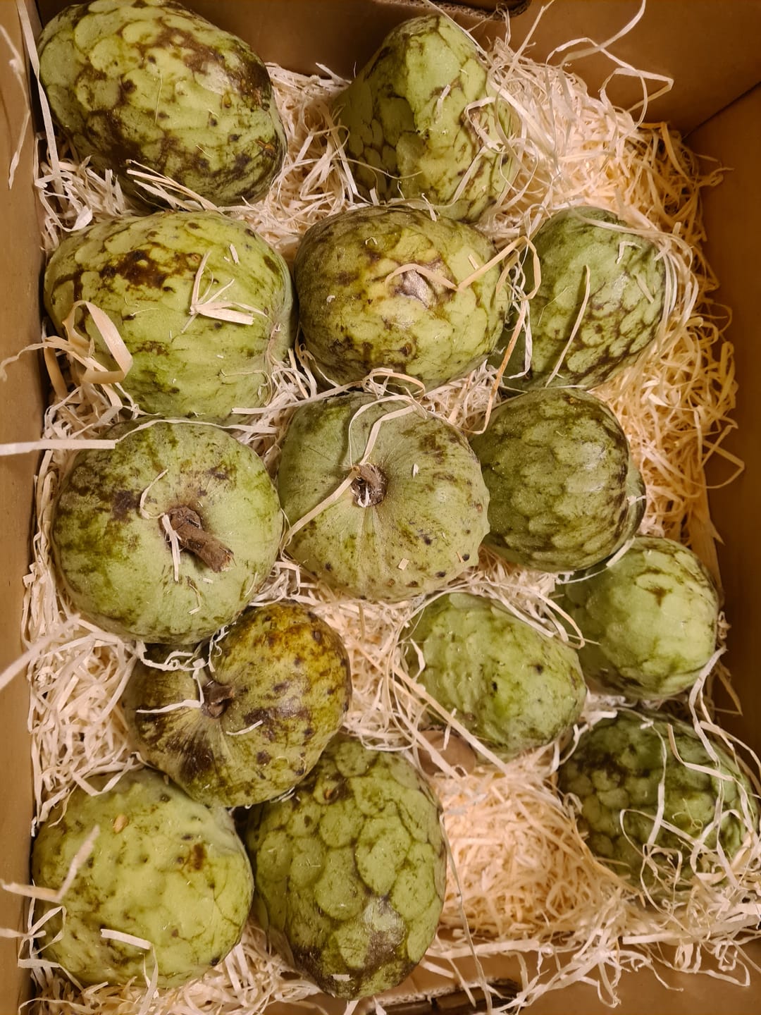Customer photo review of Cherimoya Bio von Julian Sonderaktion %