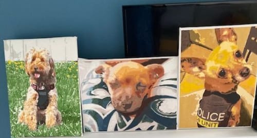 Customer photo review of Custom Pet Paint By Numbers