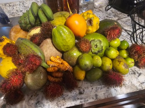Customer photo review of Tropical Variety Box