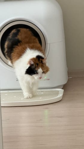 Customer photo review of Otomatik Kedi Tuvaleti ve Kamera Seti