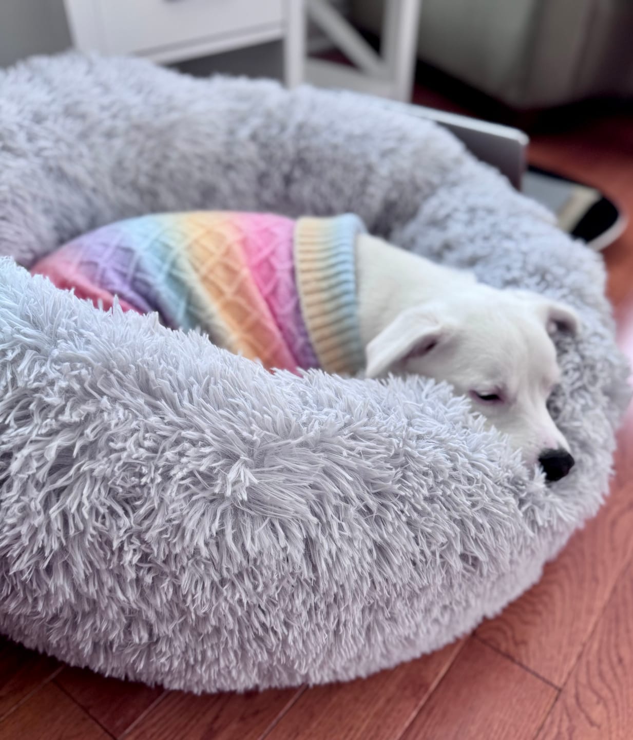 Customer photo review of Brooklyn® Deep Sleep Pet Bed