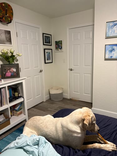 Customer photo review of Hickory Smoked Super Bull Sticks