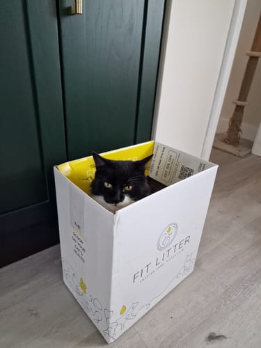Customer photo review of 1 Month Supply – 3 Cat