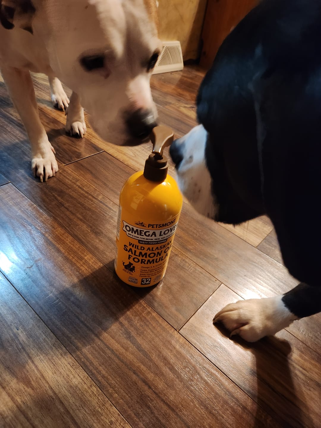 Customer photo review of Wild Alaskan Salmon Oil for Dogs | Omega 3, 6 & 9 | Petsmont Omega Love+