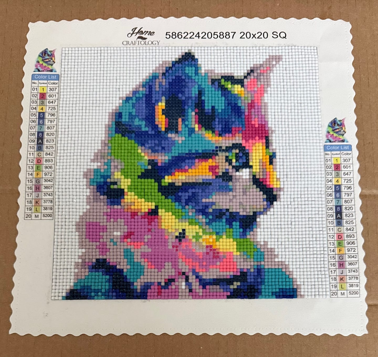 Customer photo review of Colorful Cat - Premium Diamond Painting Kit