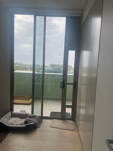 Customer photo review of Patio Pet Door Insert