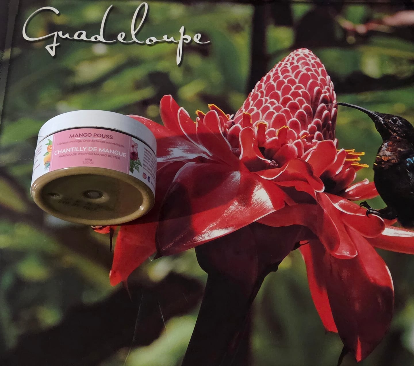 Customer photo review of Chantilly de Mangue POUSS