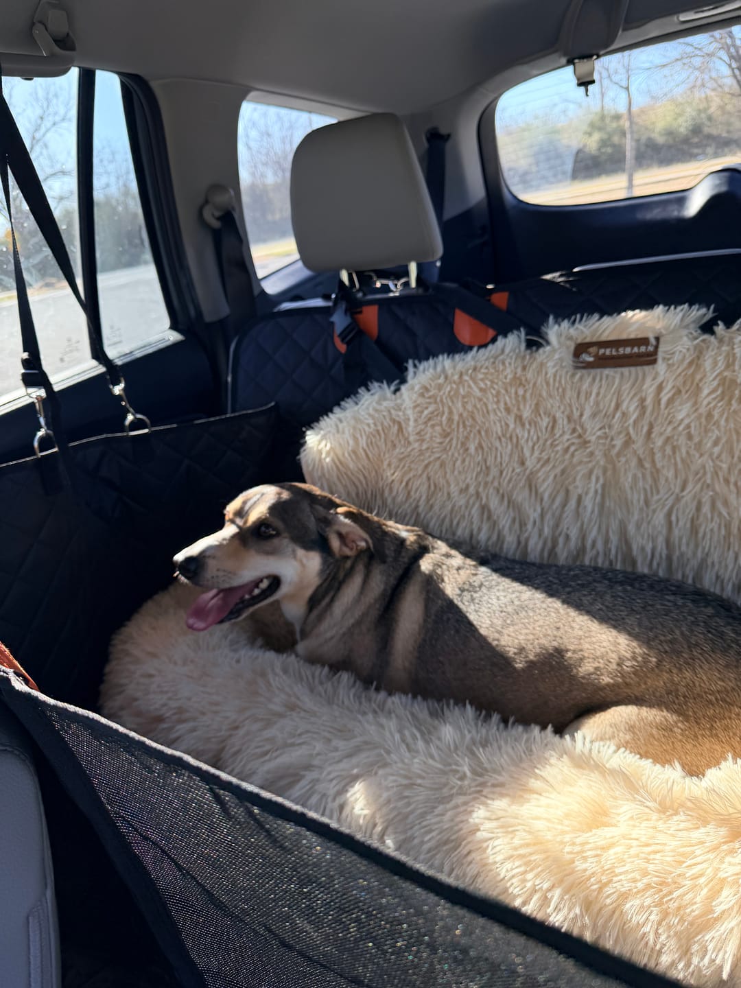 Customer photo review of CozyRider™ 2.0