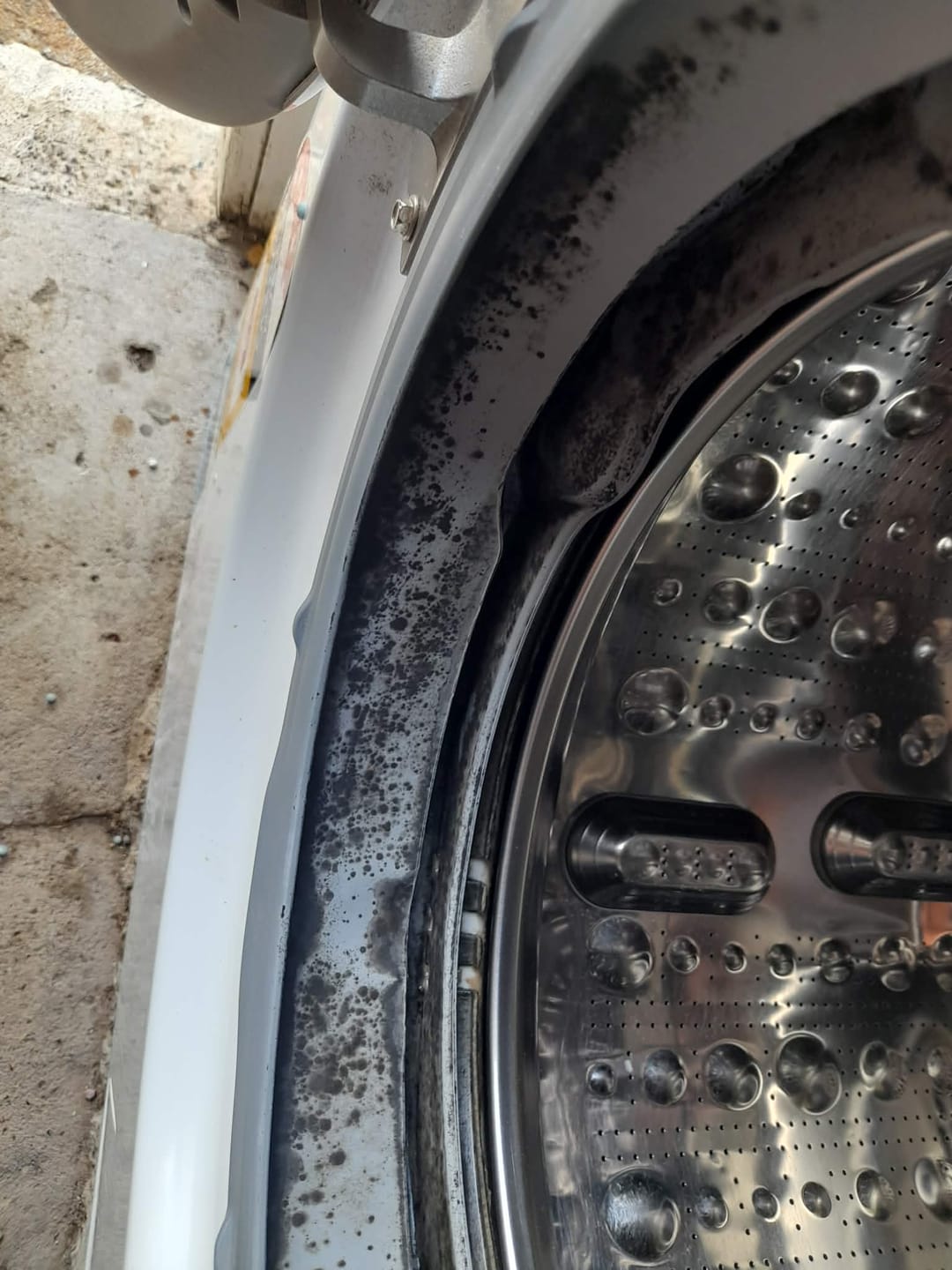 Customer photo review of GLASSGUARD® Miracle Mould Removal Gel