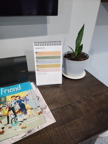 Customer photo review of Essential Conversations Flipbook for Families from the Old Testament 2026 | Aligned with Come, Follow Me