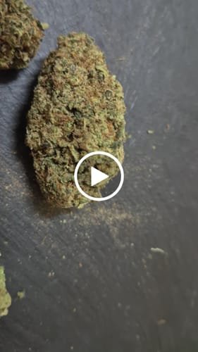 Customer video review of Happy Weedz (CALI) THCA Flower