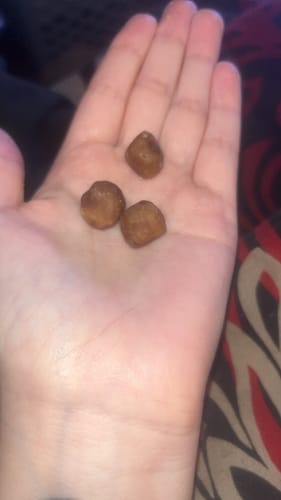 Customer photo review of DOPE DOUGH - CHOCOLATE CHIP