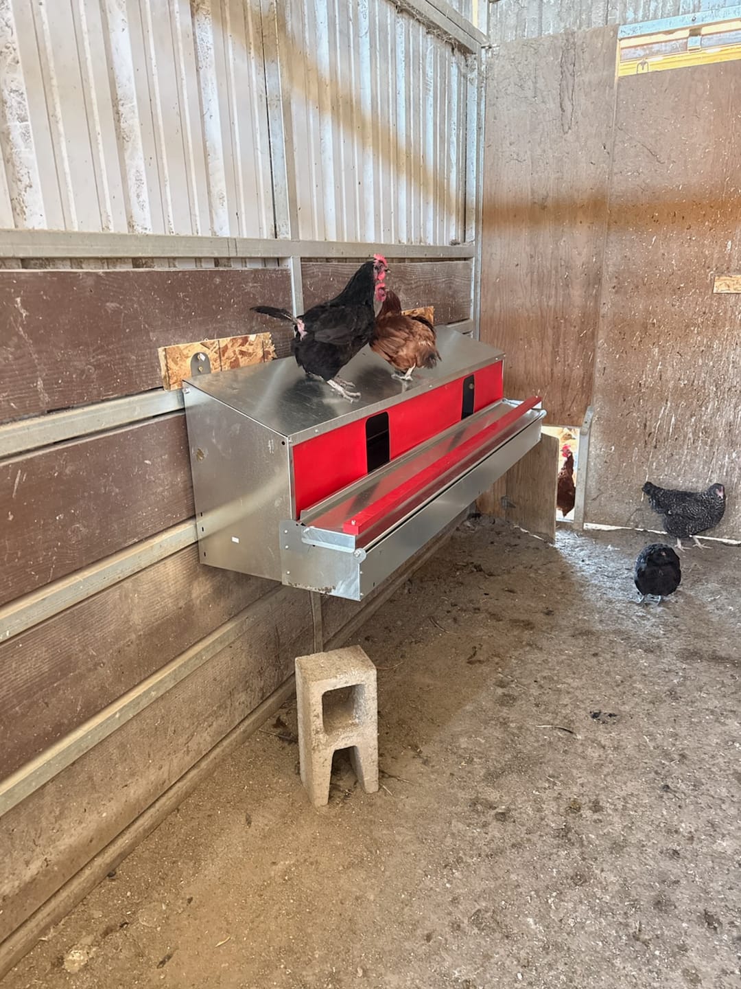 Customer photo review of X-Large (72") Reversible Rollout Nest Box (Up to 75 Hens)