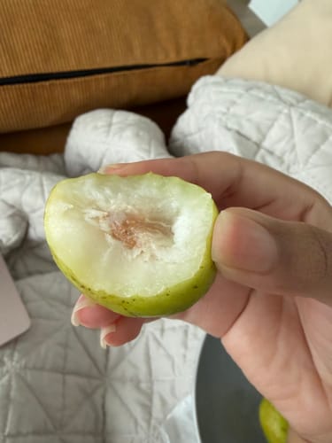 Customer photo review of Jujube (Coolie Plum)