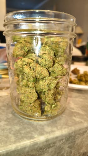 Customer photo review of Grape Gas - Bulk - Hybrid