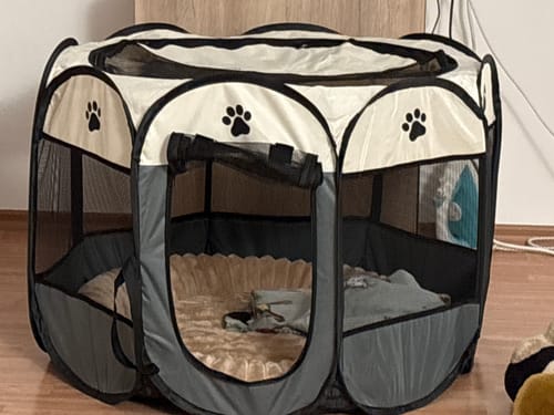 Customer photo review of Hordozható Kutya Kennel és Kisállat járóka