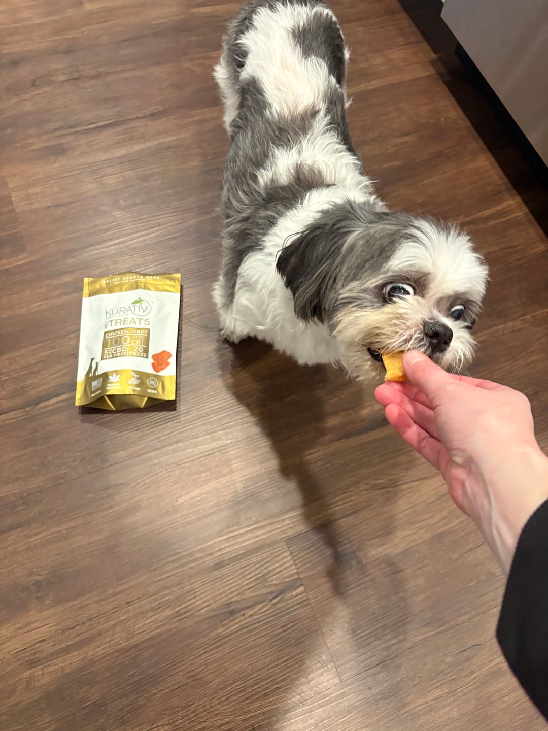 Customer photo review of CBD Pet Treats 100mg - Available in Multiple Flavors