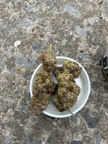 Customer photo review of Alien OG - 4 Grams - Indica