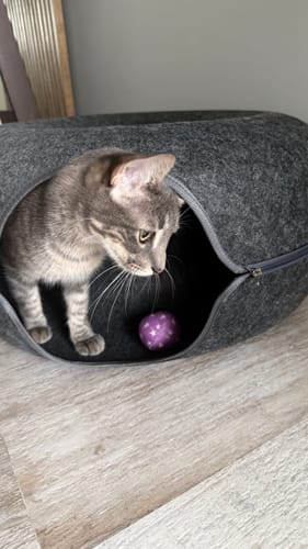 Customer photo review of Cueva Dona