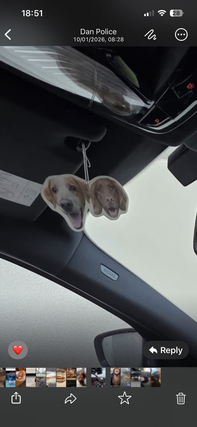 Customer photo review of Personalised Custom Car Air Freshener With Your Photo