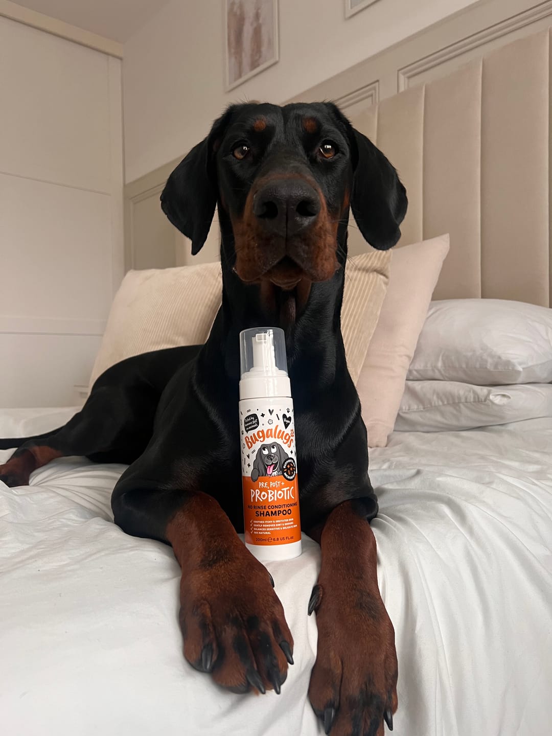 Customer photo review of Pre, Post + Probiotic No Rinse Shampoo