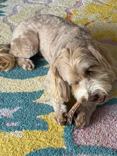 Customer photo review of Shipping Protection