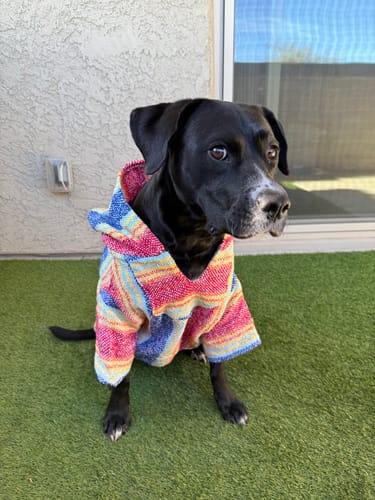 Customer photo review of Playa Poncho – Parrotfish