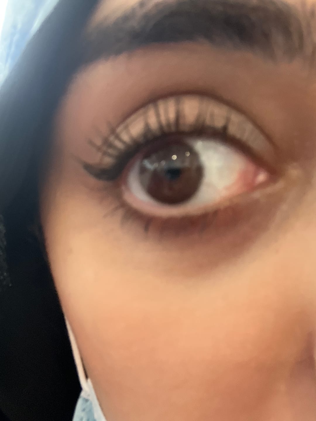 Customer photo review of Olens ViVi Ring 1 Day Choco Lenses