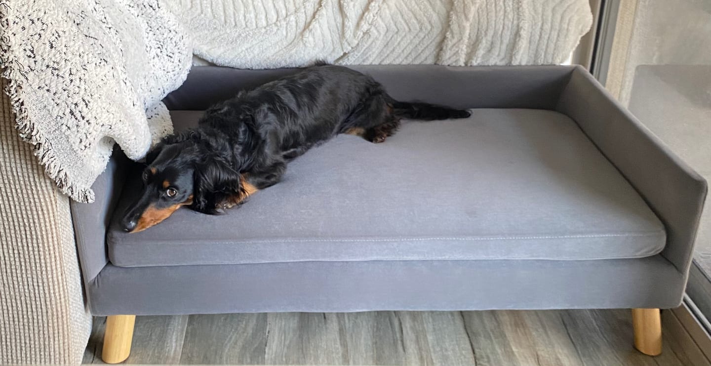 Customer photo review of Dog Sofa Bed Pet Lounge Couch