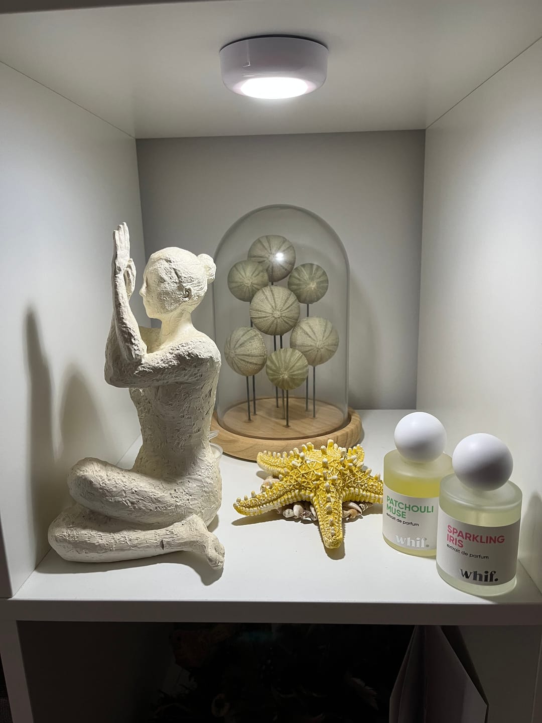 Customer photo review of Sparkling Iris