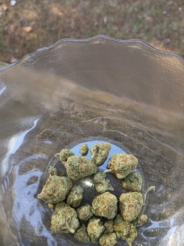 Customer photo review of Mimosa - Light Dep THCA (Seeded)