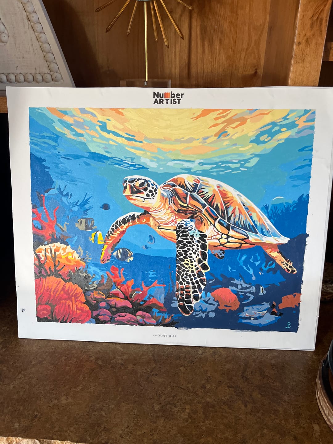 Customer photo review of Coral Glide