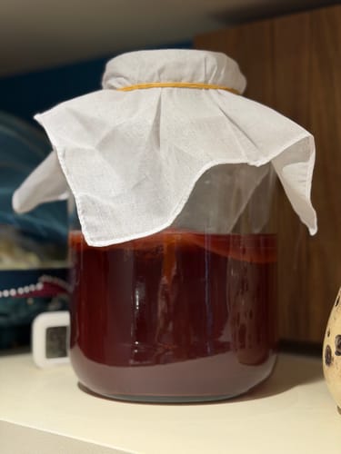 Customer photo review of BIO Kombucha-Starterset: Vollausstattung mit Premium Scoby