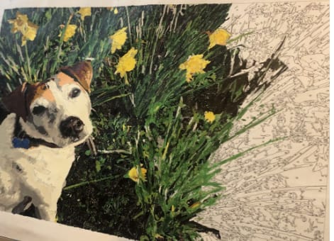 Customer photo review of Custom Pet Paint By Numbers