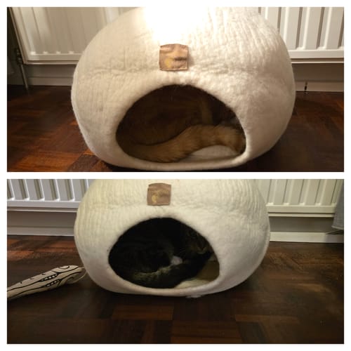 Customer photo review of Premium