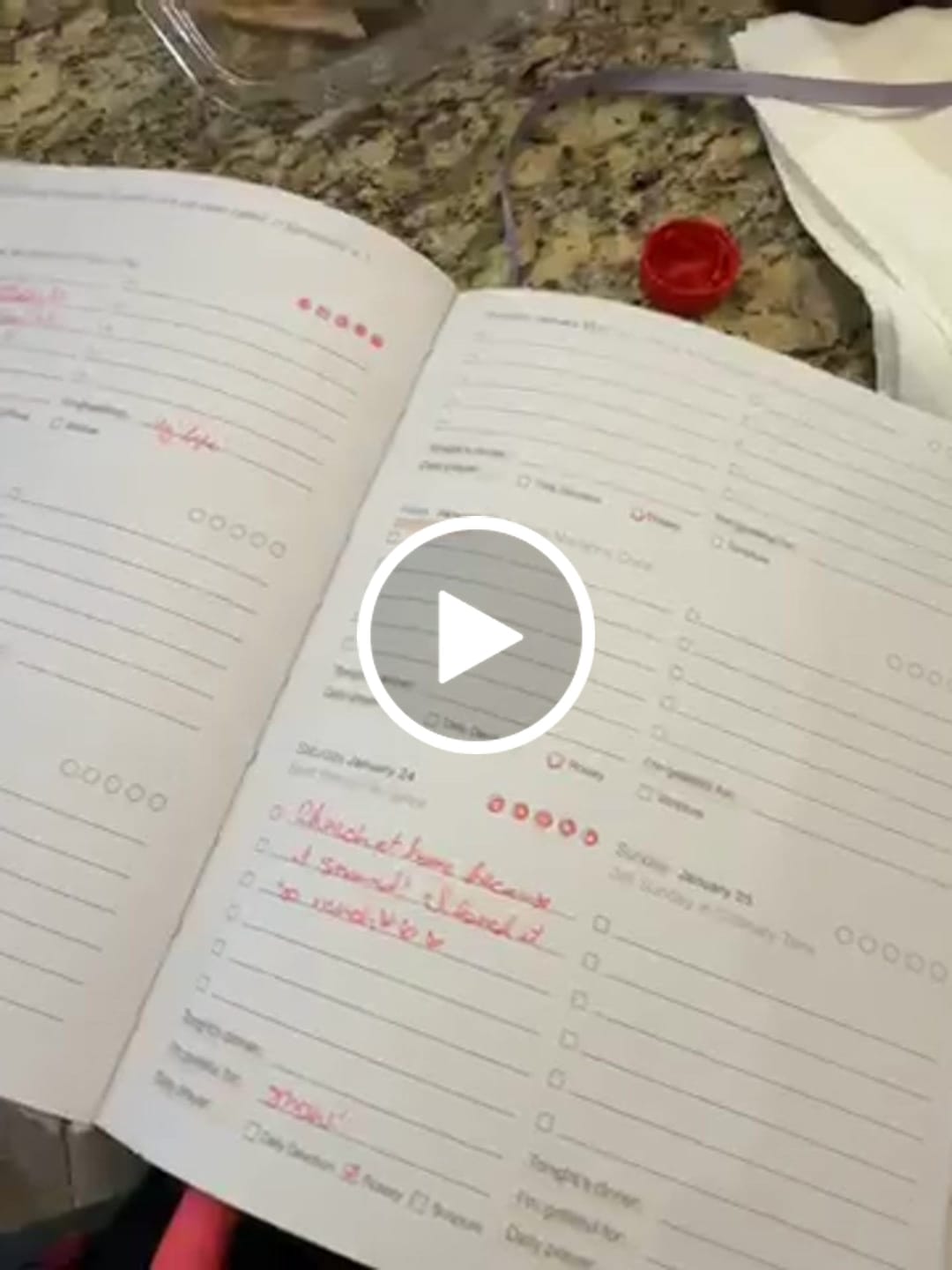 Customer video review of 2026 Calendar Year Catholic Liturgical Planner // Mini Layout