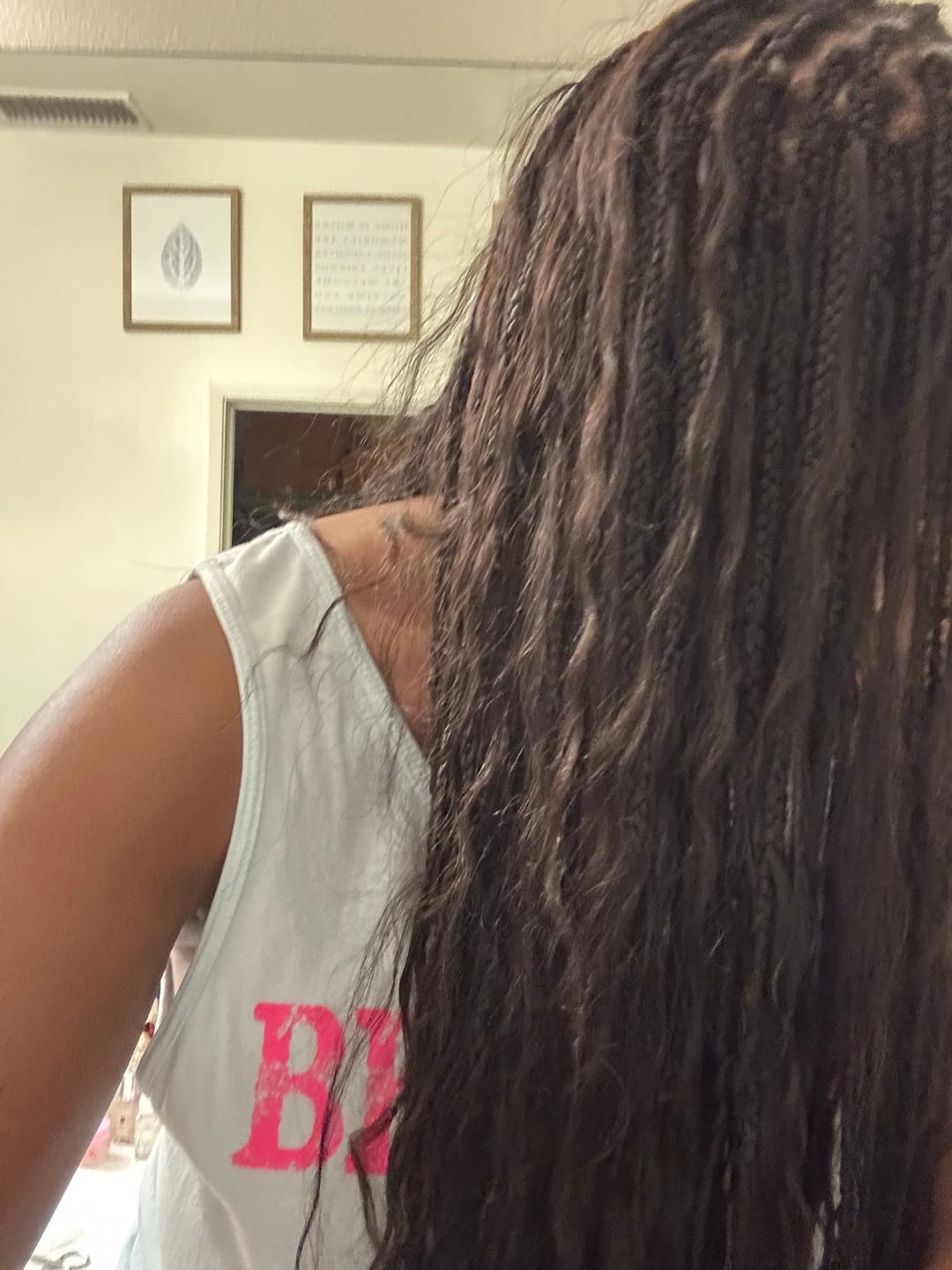 Customer photo review of Double Drawn Burmese Wet and Wavy Human Braiding Hair